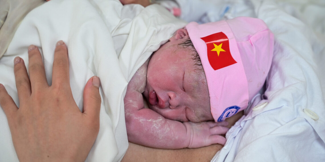 dsc 9240 1764822879 1764822924 3664 1764823046.jpg