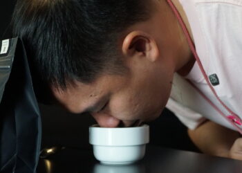 dsc00021jpg 1765957395 1765957 1952 7885 1765957516.jpg