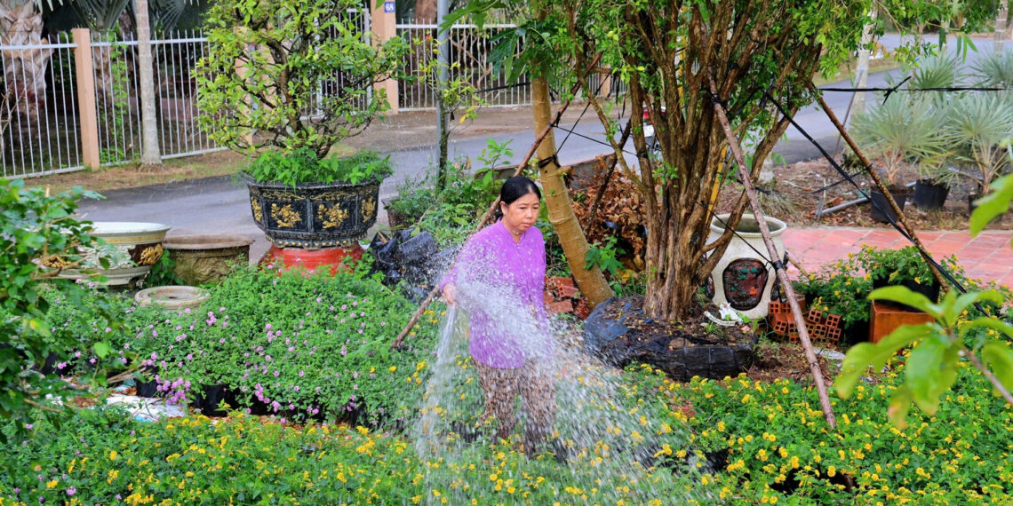 festival hoa kieng sa dec 2025 ky vong don 500 2382.jpg