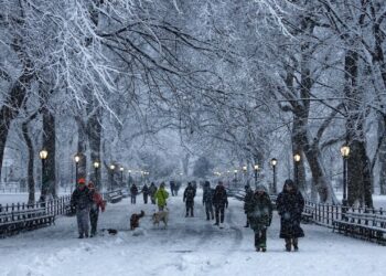 gary 1765907119 1765951694.jpg