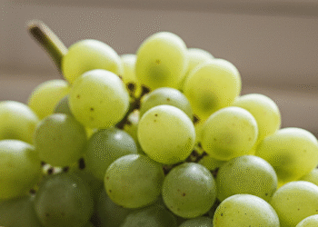 geminigeneratedimageabtaz7abta 4481 2015 1766981801.png