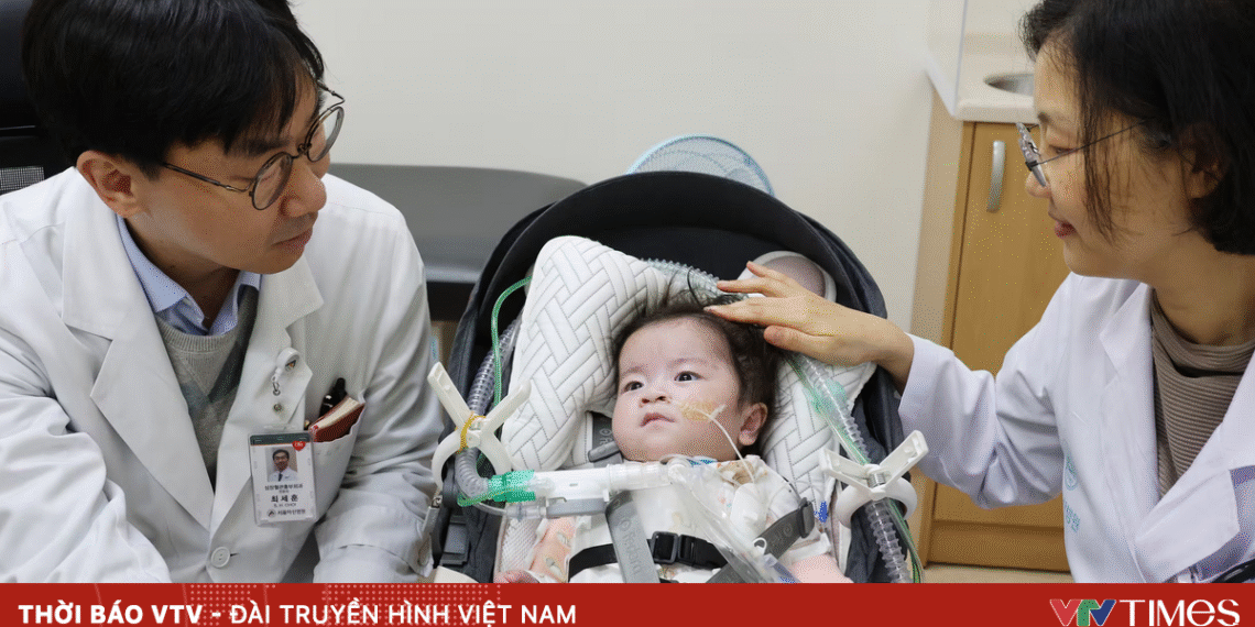 han 43132062698988361088477 88821121075079842573295.png