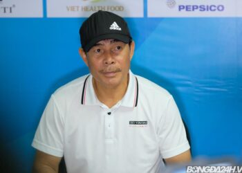 hlv slna chi ra chien thuat da bai nam dinh.jpg