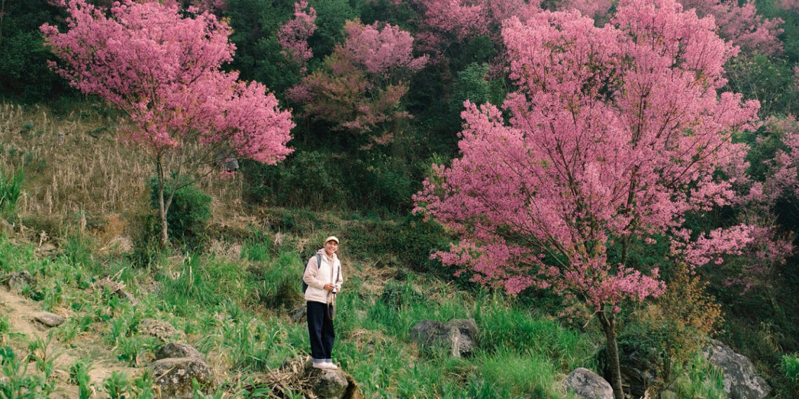 Hành trình từ Hà Nội