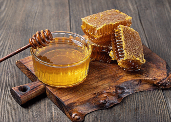 honey and honeycomb slice 5vct 9854 8647 1764728942.png