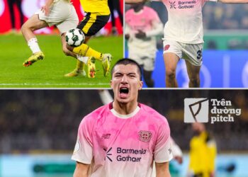 ibrahim maza khong phai dang vua dau.jpg