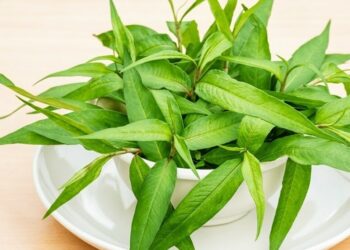 image001 1764558276 1764558297 3463 1764558329.jpg