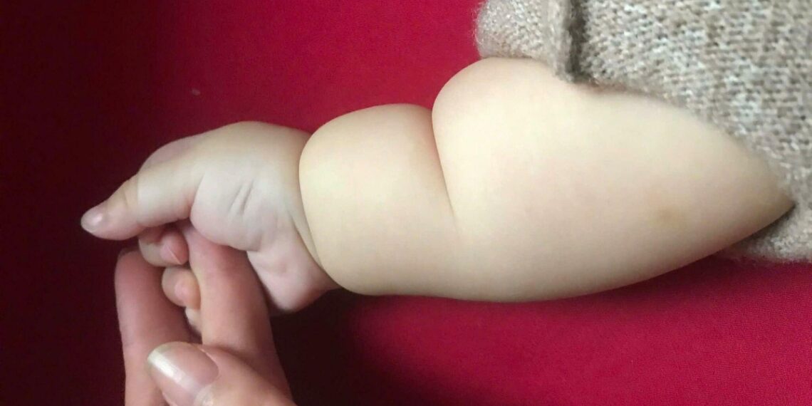 image001 1764902492 1764902515 8258 1764902531.jpg