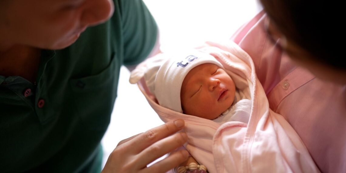 image001 1765851892 1765851920 9210 1765852040.jpg