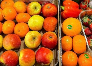 image001 1766460898 3446 17664 8114 4976 1766461768.jpg