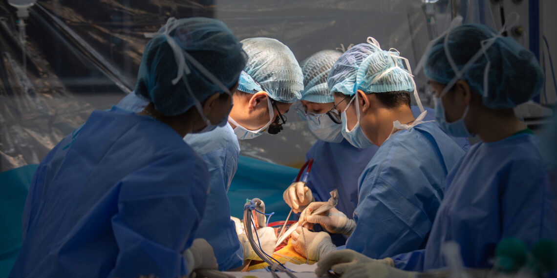 img 1655 1766373757 1766373983 1867 1766374013.jpg