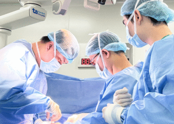 img 6792 di bao 1766483260 176 3811 1928 1766538724.png