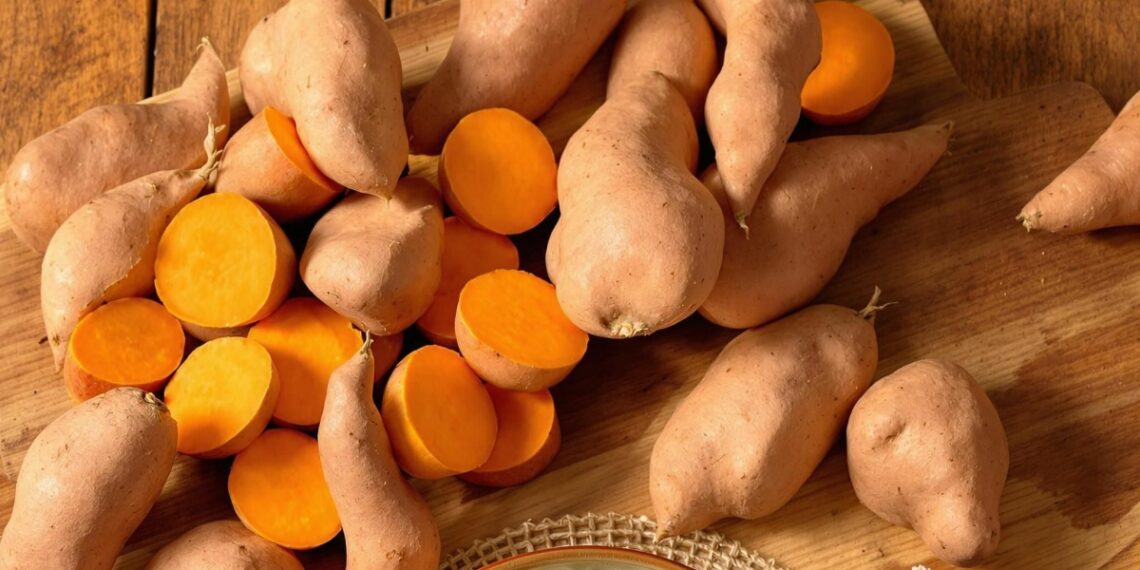 khoai lang 1764746941 17647469 9936 3119 1764747330.jpg