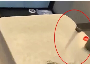 khong the huy phong khach nu xa day nuoc trong khach san va cai gia phai tra 655.jpg