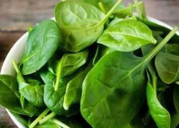 loai cai duoc vi la rau truong tho an nhieu song khoe 833.webp.jpeg