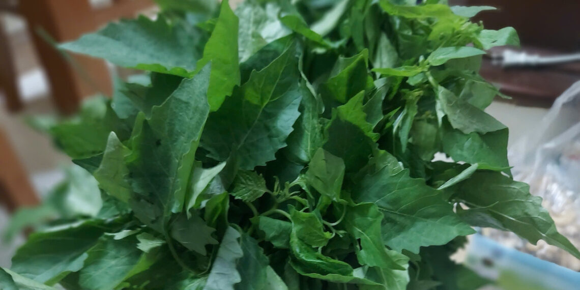 loai rau dai bien thanh dac san nhung ai khong nen an 1464.jpeg