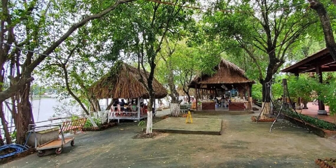 mafdijcwhnl0wfzrwvr1eux5w czvw 8677 1193 1765274585.jpg