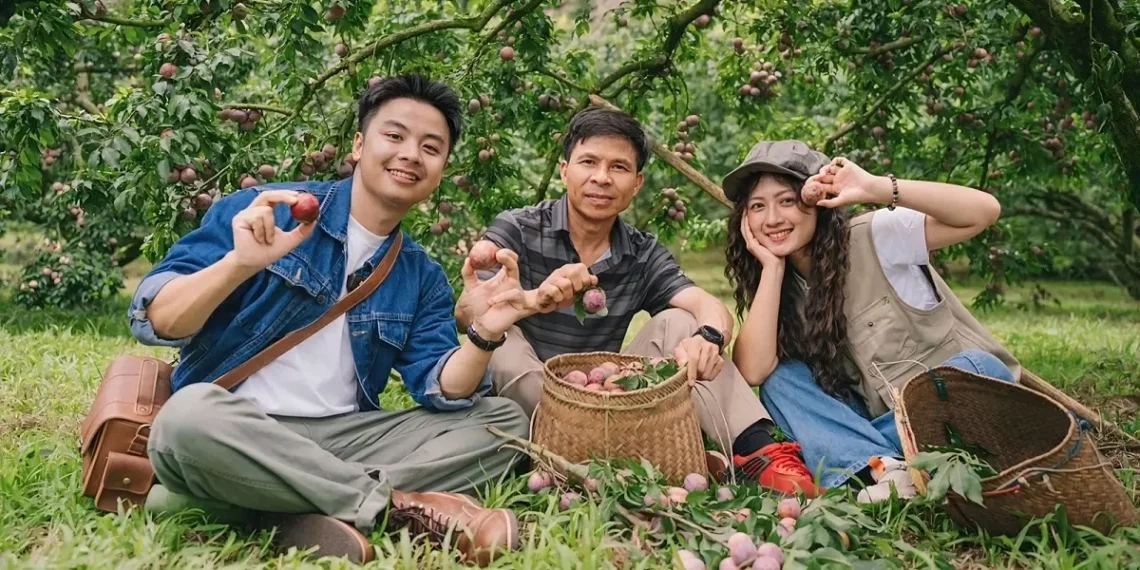 man6 1750124860 1764640668 176 8516 3248 1764641389.webp.webp