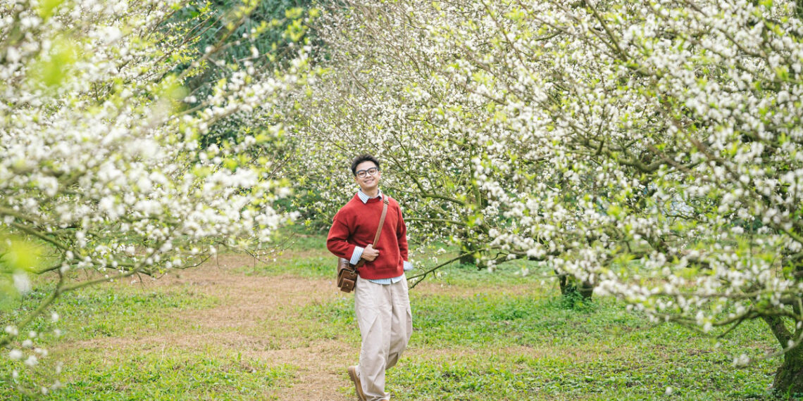 mc1 1765964675 1765964689 7958 1765964874.jpg