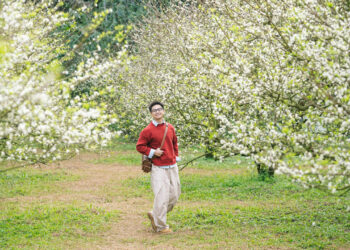 mc1 1765964675 1765964689 7958 1765964874.jpg