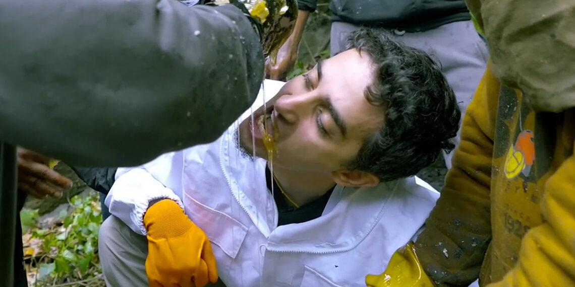 mtongingyogicnepalleovchhtscng 3535 8299 1766125673.jpg