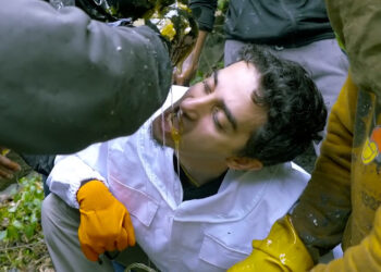 mtongingyogicnepalleovchhtscng 3535 8299 1766125673.jpg