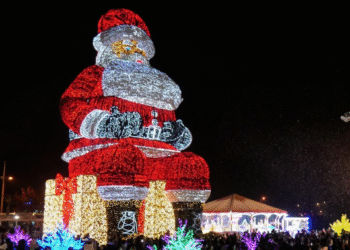 nh3 1765770536 8613 1765770585.png