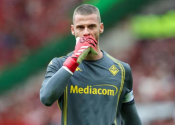 nhan dinh fiorentina vs udinese 00h00 ngay 2212 ngang chan la viola.png