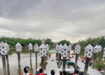 nhung nguoi lang tham lam dau tram ho o sao mai group 379.jpg