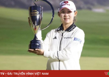 package media 01306152195162802569695 35176890325707365211302.png