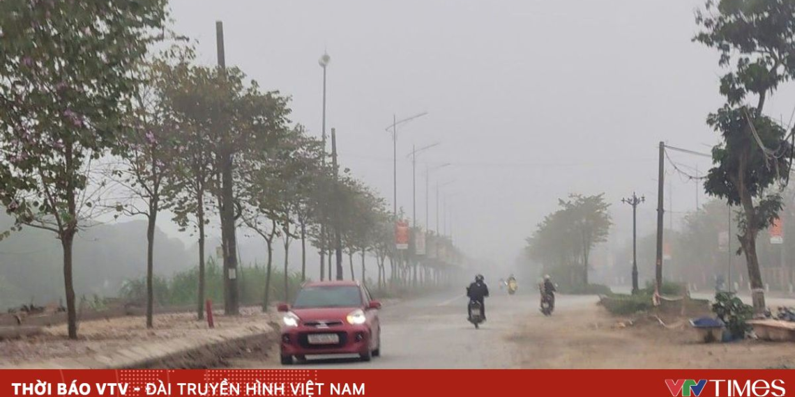 package media 02563149979037553705539 60561847912986024408628.png