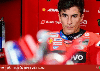 package media 16682114520013150325110 55396901238877349818568.png