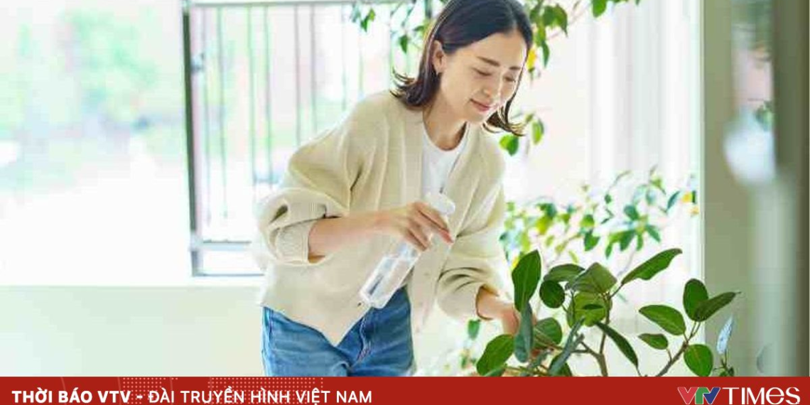 package media 25795192407778386882015 91091356528297978292129.png