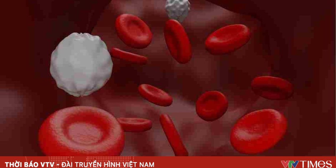 Phòng nguy cơ rối loạn mỡ máu dịp cuối năm package media 66248241547742184399804 99486507565735841936083.png