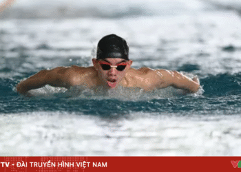 package media 76376964606643125418420.png