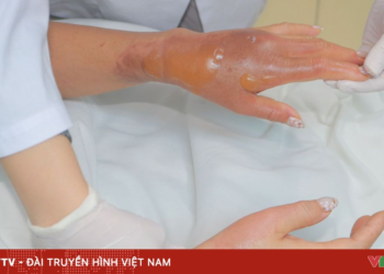 package media 77386617013848927681181 98580198123385033220480.png