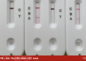 package media 92293398250091376392316 83938354541371341583826.png