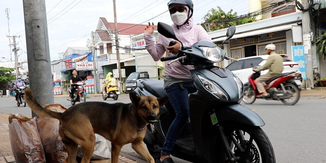 quan chuoi chien noi tieng can tho khien khach thich thu voi thu ngan dac biet 6.jpg