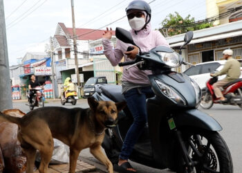 quan chuoi chien noi tieng can tho khien khach thich thu voi thu ngan dac biet 6.jpg