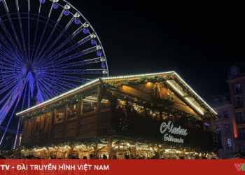 quang truong grand place trong khong khi giang sinh 28641367262750165640558 91752788932560320194225.png