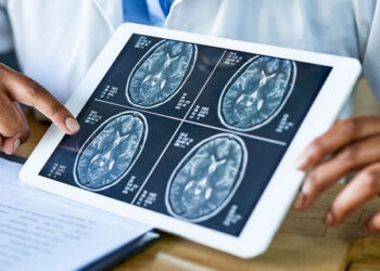 sau cu nga trong nha nguoi dan ong vo xuong so roi vao hon me 1736.jpg