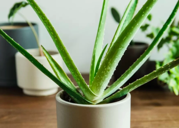 screen shot 2022 04 14 at 17 2 1114 2280 1764749995.png