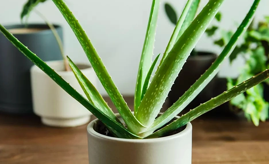 screen shot 2022 04 14 at 17 2 1114 2280 1764749995.png