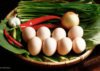 screenshot 2025 06 10 at 15 14 2223 4870 1765506681.png