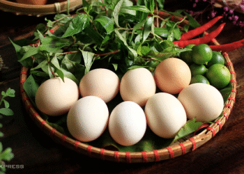 screenshot 2025 07 28 at 14 52 2634 3061 1765167081.png