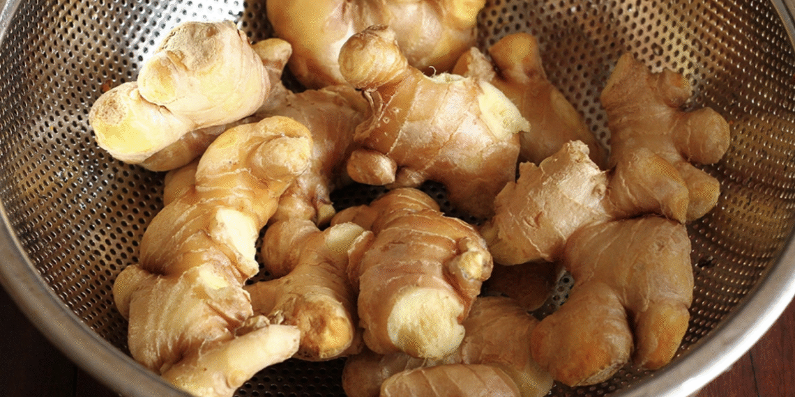 screenshot 2025 12 01 at 21 27 3380 2024 1764600743.png