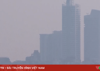 screenshot 2025 12 12 060903 57874941416879143019666 77606629138109319621881.png