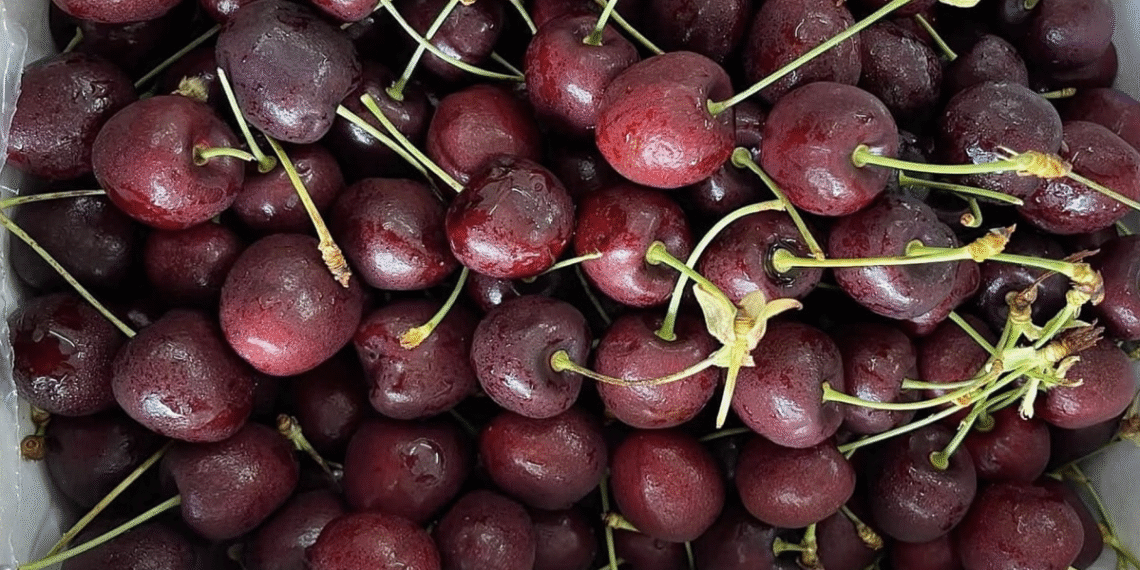 5 loại quả màu đỏ giúp tim khỏe mạnh screenshot 2025 12 12 at 09 50 5986 4016 1765507909.png