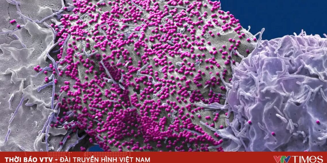 sei 276363422 43165676762025873005603 23333582098509473538548.webp.jpeg