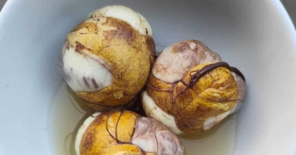 Suy giảm sinh lý có nên ăn trứng vịt lộn không? suy giam sinh ly co nen an trung vit lon khong 47971.png